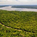 Bike Poço Preto: A Nova Atração do Parque Nacional do Iguaçu 