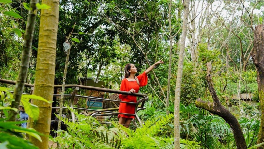 Visitante em contato com a natureza no Parque das Aves. Foto: Assessoria/Divulgação Parque das Aves.