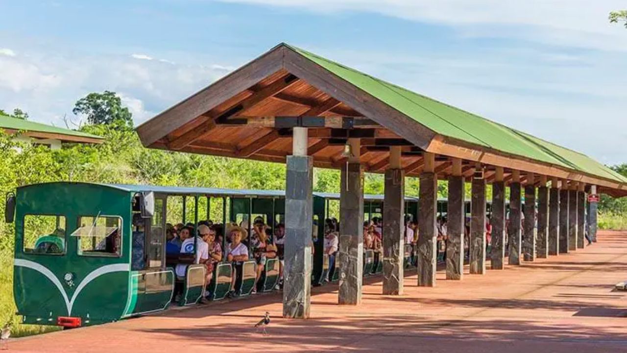 Trem Ecológico de la Selva Cataratas Argentina