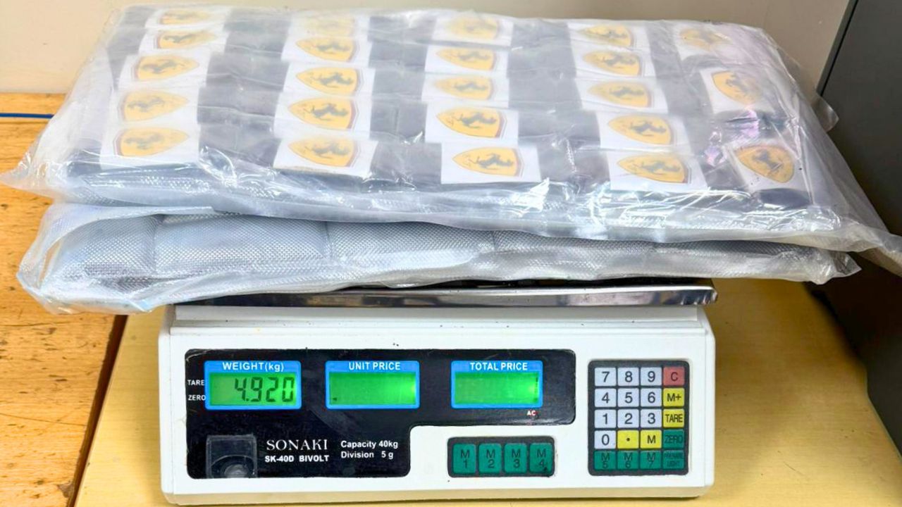 Passageiro transportava a droga escondida em uma mala de roupas; motorista foi liberado após fiscalização de rotina.